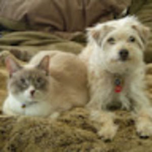 Meet your Posher, Diane